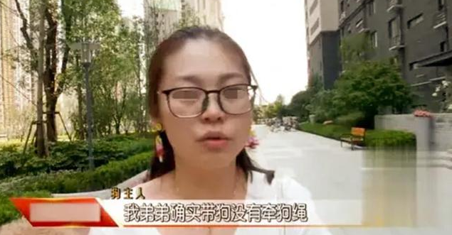 4岁女孩被三只狗围攻，父亲找狗主人理论，双方大打出手