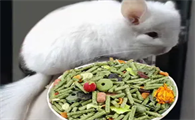 龙猫可以吃兔粮么
