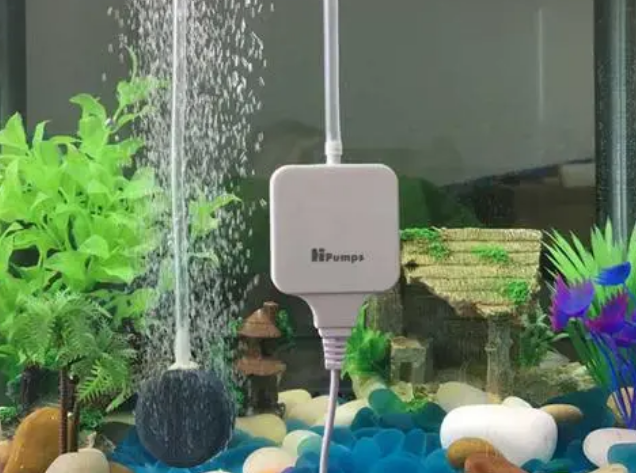 鱼缸增氧泵声音大怎么办