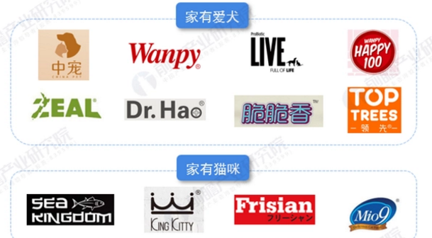 中国最大的宠物公司 中国最大的宠物公司