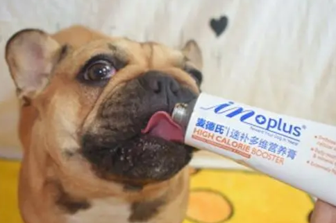 狗狗吃营养膏有什么好处