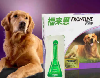 怎样给狗狗做体外驱虫