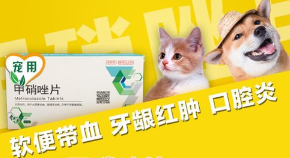宠物甲硝锉片是治疗什么的