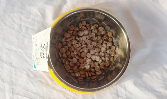 宠物益生菌有片剂吗?