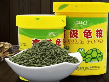 草龟吃哪种龟粮