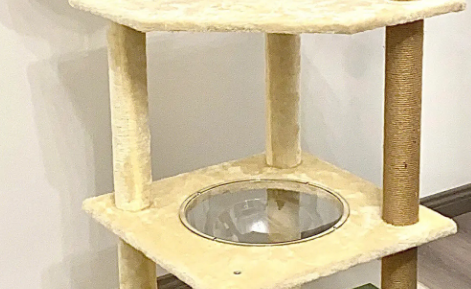 猫爬架什么品牌做得好