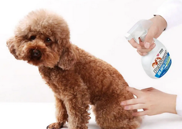 犬舍用什么消毒液最好