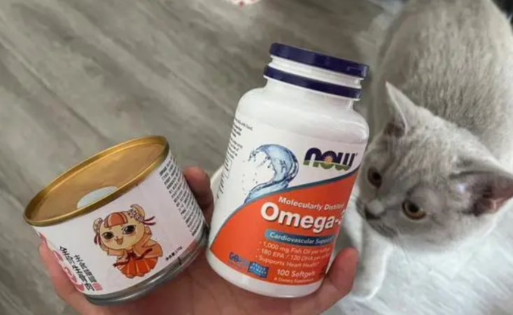 小猫用的鱼油是什么