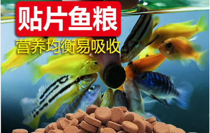 孔雀鱼贴片鱼粮哪个牌子的好