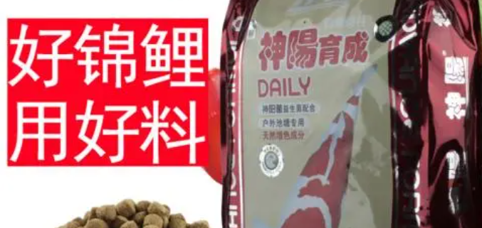 锦鲤鱼粮十大品牌