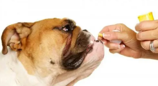 狗狗益生菌排名 狗狗益生菌排名