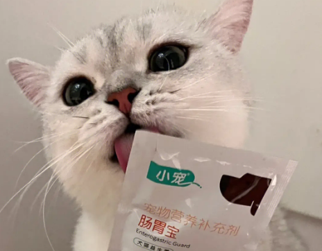 宠物益生菌可以兑水喝吗 宠物益生菌可以兑水喝吗