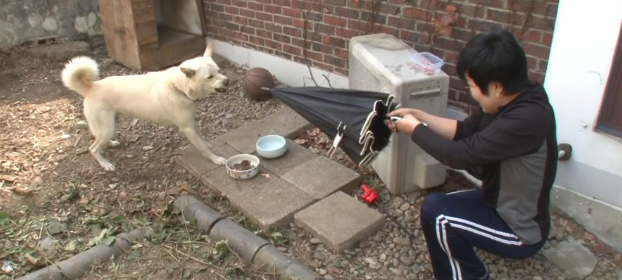狗狗将主人赶出家门,还把训犬师吓得摔门而出 狗狗将主人赶出家门,还把训犬师吓得摔门而出