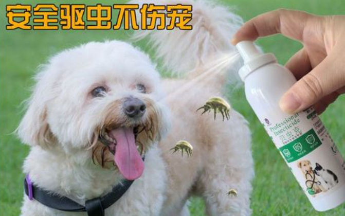 狗狗的体外驱虫一次多少钱 狗狗的体外驱虫一次多少钱