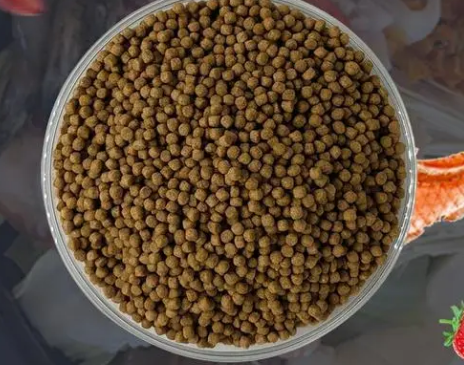 鱼粮是怎么做的 鱼粮是怎么做的