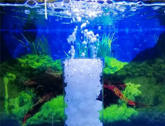 怎么给鱼缸中增氧