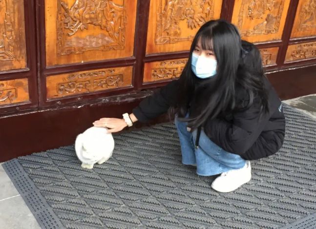 去旅游带了只流浪猫回家,却被网友“围攻”:把“景点”拐跑了 去旅游带了只流浪猫回家,却被网友“围攻”:把“景点”拐跑了