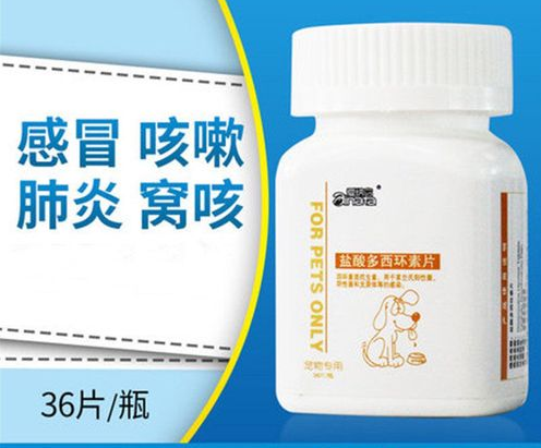 大狗咳嗽吃什么药好