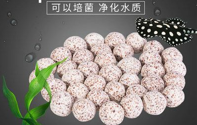 硝化细菌使用方法