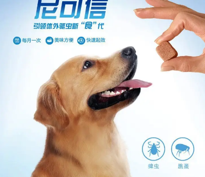 狗狗口服体外驱虫药有用吗