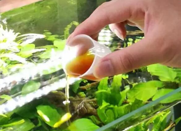 硝化细菌怎么自养 硝化细菌怎么自养