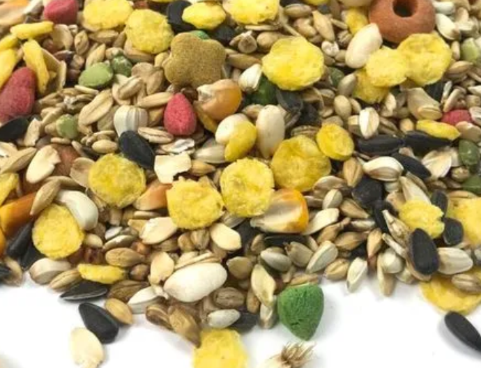仓鼠粮一斤多少钱 仓鼠粮一斤多少钱