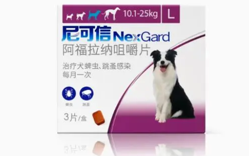 狗做了体外驱虫还是经常挠