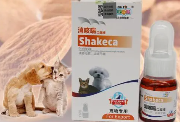小宠物感冒了怎么办