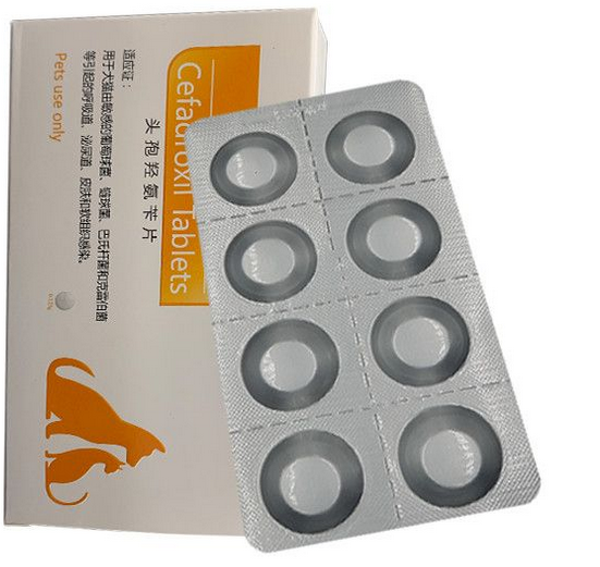 宠物可以吃的消炎药