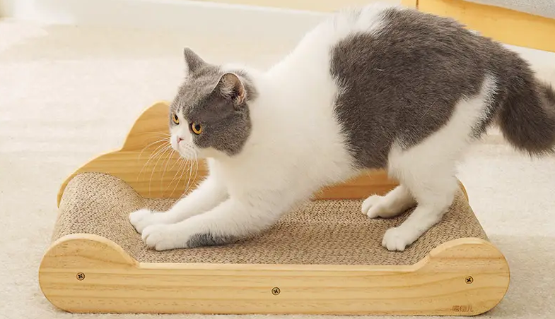 猫抓板什么形状的好