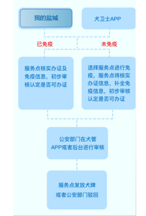 速看！《养犬登记证》详细办理流程