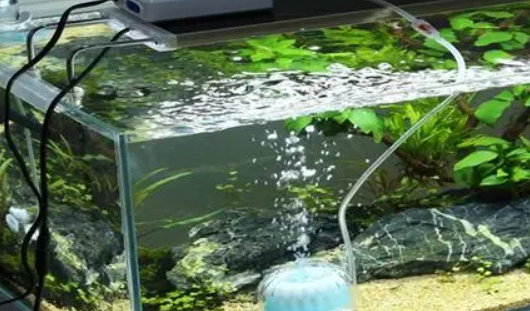 鱼缸氧气多少合适