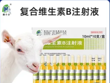 羊不反刍打几次复合维生素B