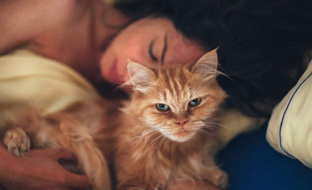 猫咪为什么喜欢看主人入睡呢