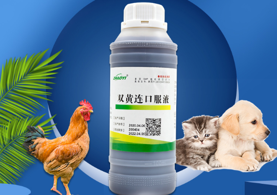 双黄连口服液哪家好