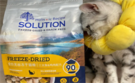 探鲜者猫粮能吃吗