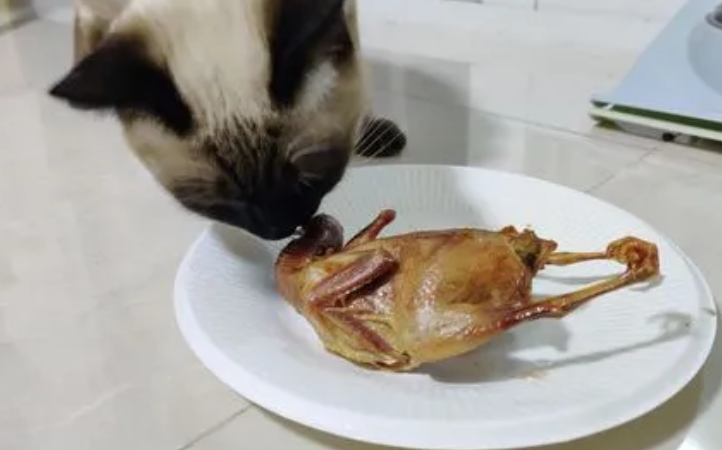 猫吃生鹌鹑要去骨吗 猫吃生鹌鹑要去骨吗