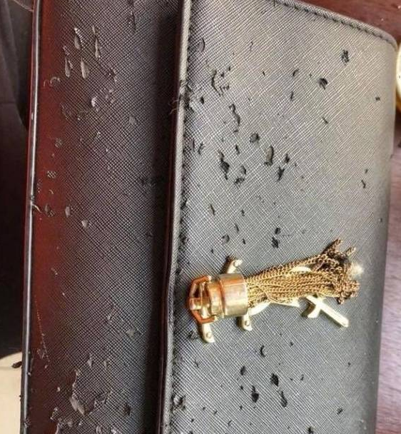 猫咪跳海草舞翻车!主人怒摔手机,笑翻~ 猫咪跳海草舞翻车!主人怒摔手机,笑翻~