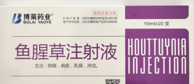 兽用鱼腥草主治什么病