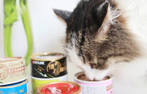 为什么说猫咪不吃主食罐头的原因
