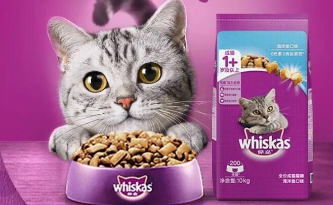 英短专用猫粮排行榜