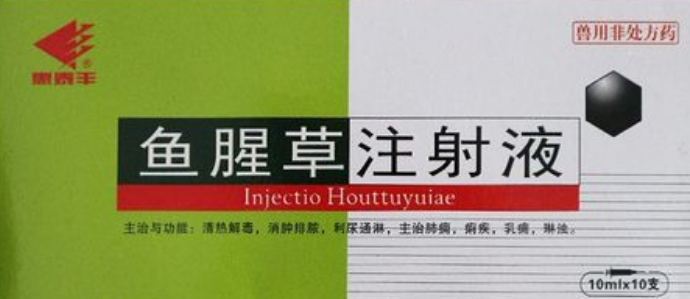 鱼腥草注射液治什么的