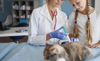 猫吃了克肤还能吃益生菌吗 猫吃了克肤还能吃益生菌吗