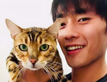 养猫的男生都是渣男