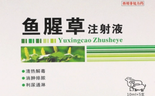 兽用鱼腥草注射针剂的功效与作用