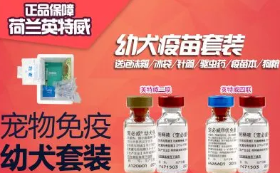 小狗四联和五联疫苗的区别 小狗四联和五联疫苗的区别