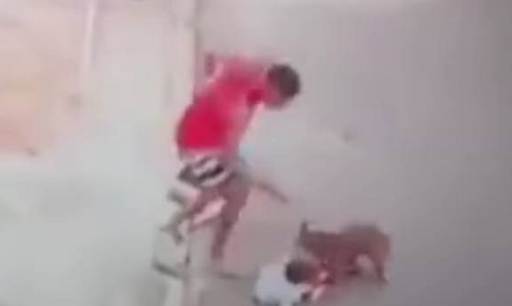 巴西男子从斗牛犬口中救出男童，监控画面记录勇敢一幕 