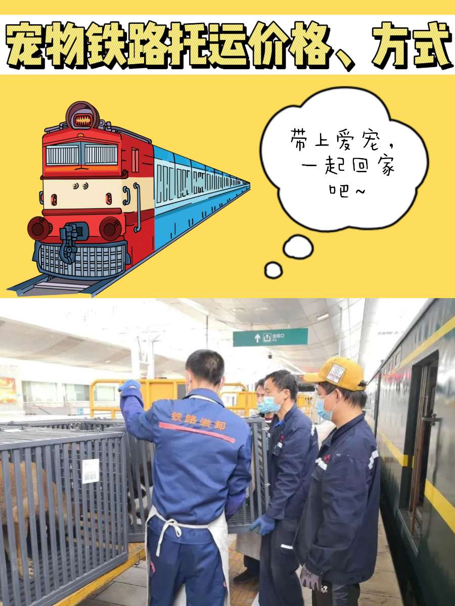 宠物铁路怎么托运？五一节怎么带宠物回家？