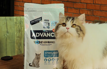 爱慕思猫粮评价 爱慕思猫粮评价