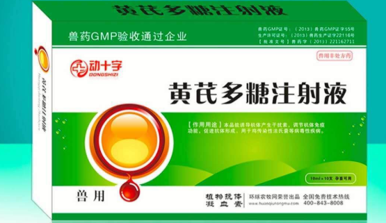 兽药黄芪多糖的功效与作用